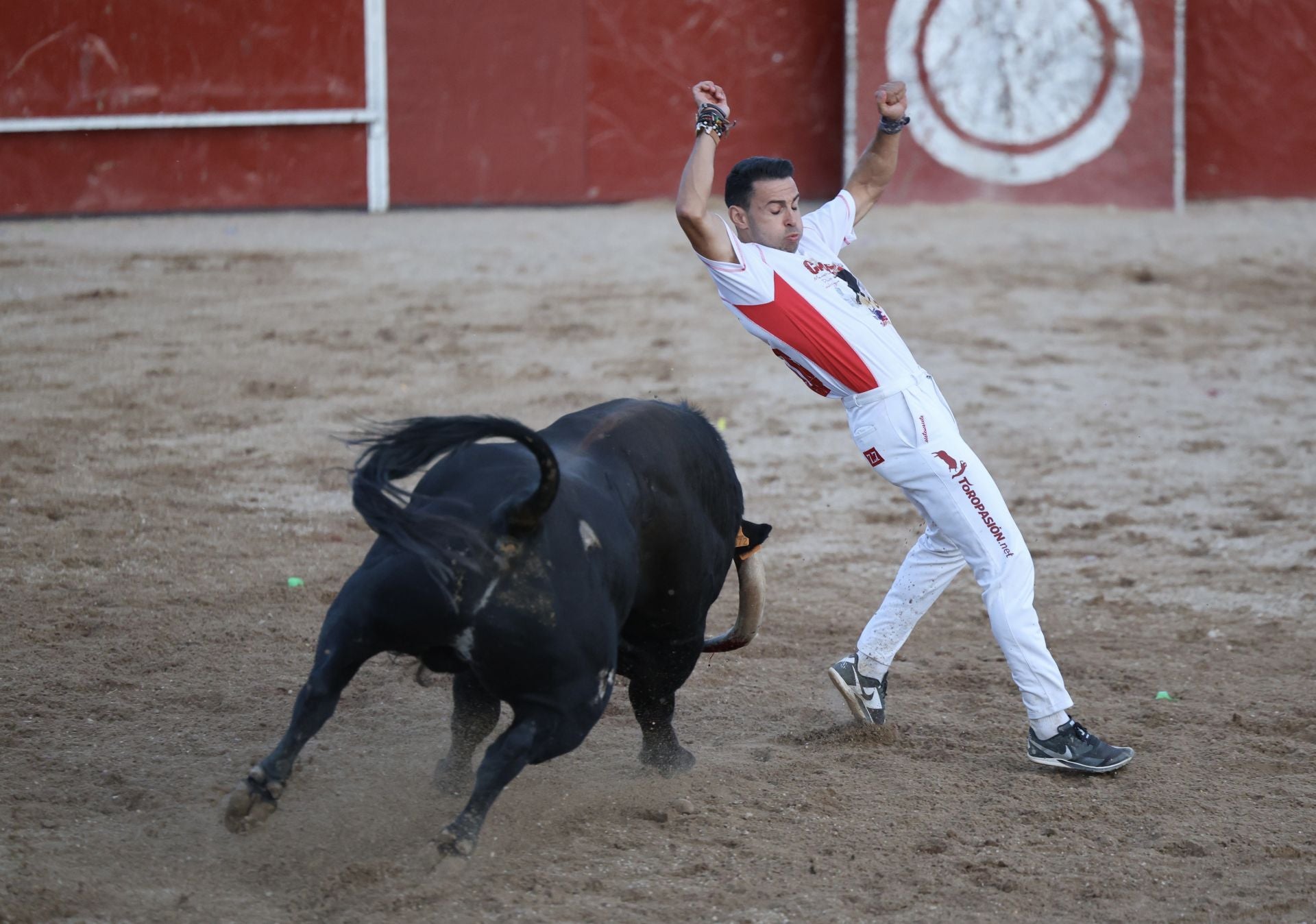 Las imágenes del concurso de cortes en Cigales