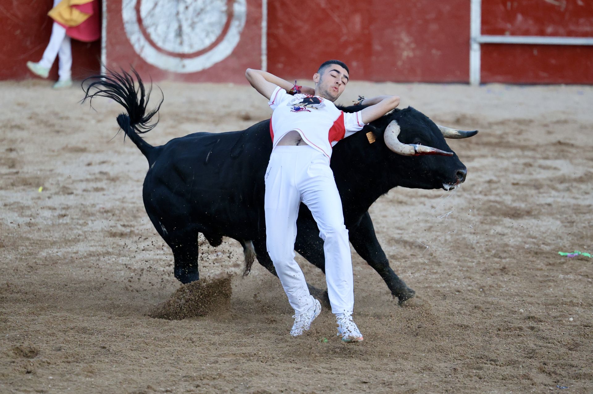 Las imágenes del concurso de cortes en Cigales