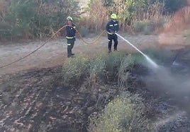 Bomberos de Palencia trabajan en la extinción de las llamas.