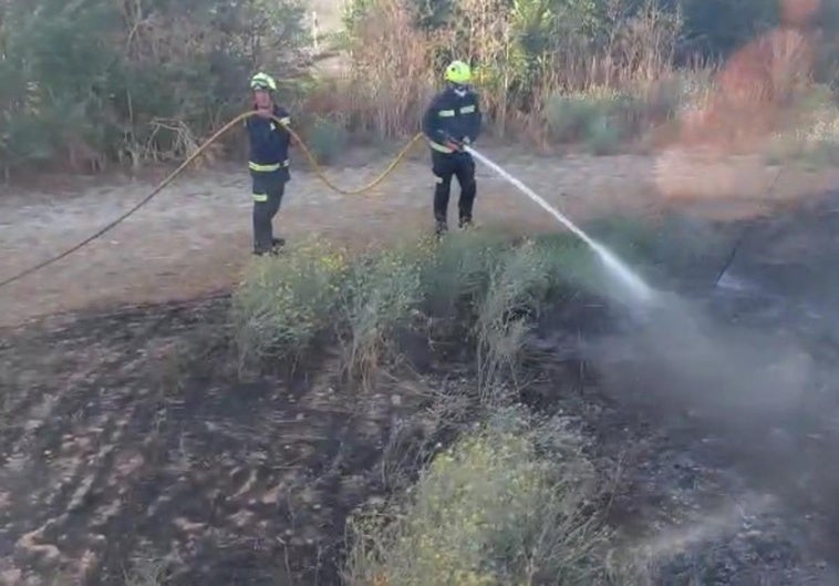 Bomberos de Palencia trabajan en la extinción de las llamas.