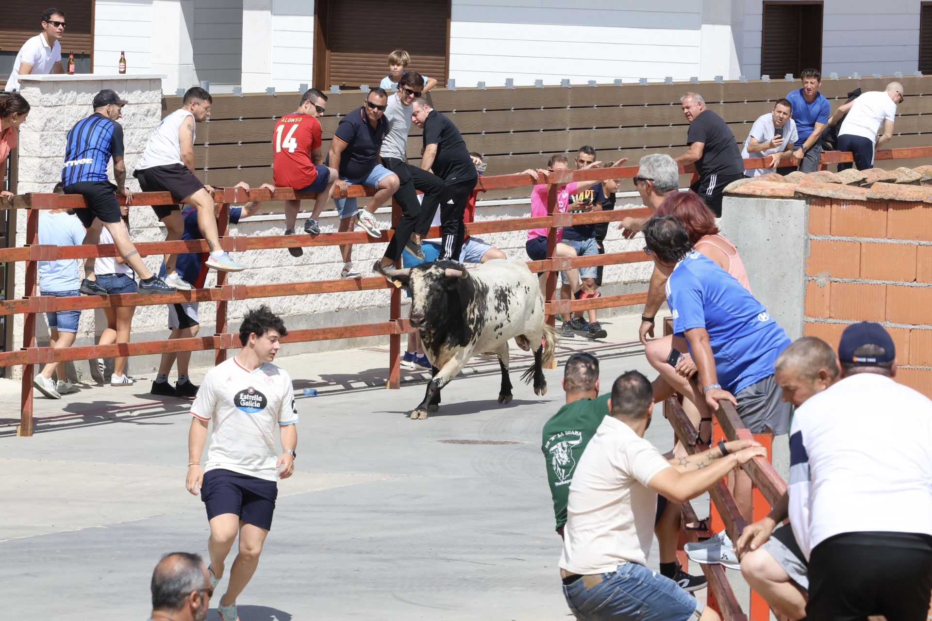 Encierro en las fiestas de Matapozuelos