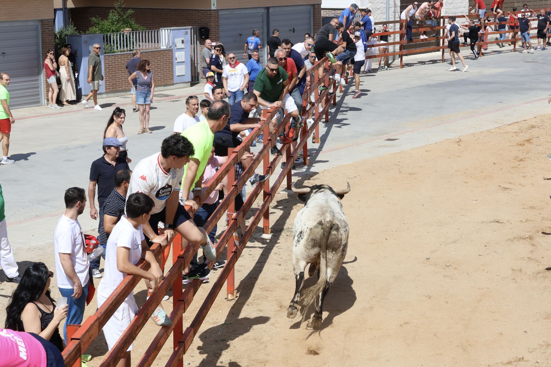 Encierro en las fiestas de Matapozuelos