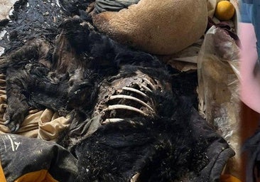 Estado en el que se encontraban los animales.