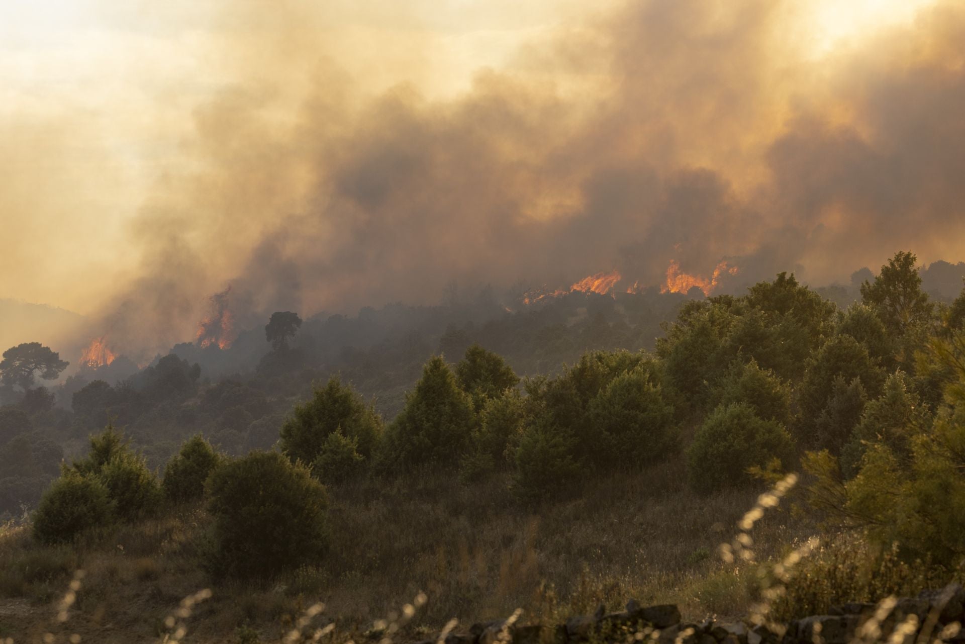 Imágenes del incendio de Navaluenga y los trabajos de extinción