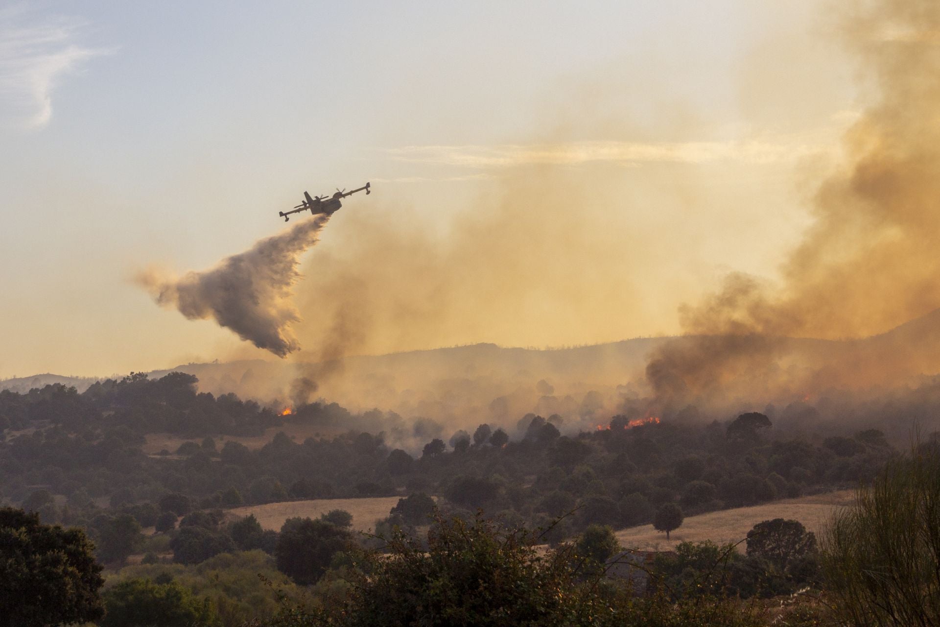 Imágenes del incendio de Navaluenga y los trabajos de extinción