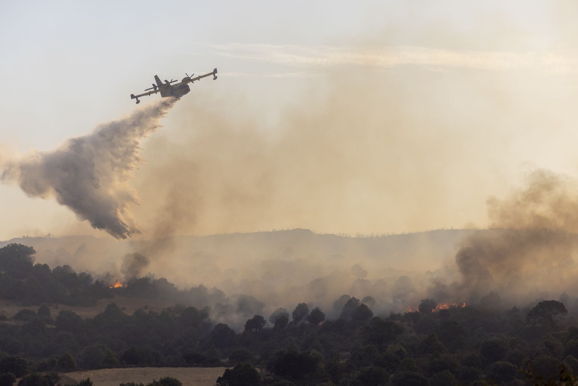 Imágenes del incendio de Navaluenga y los trabajos de extinción