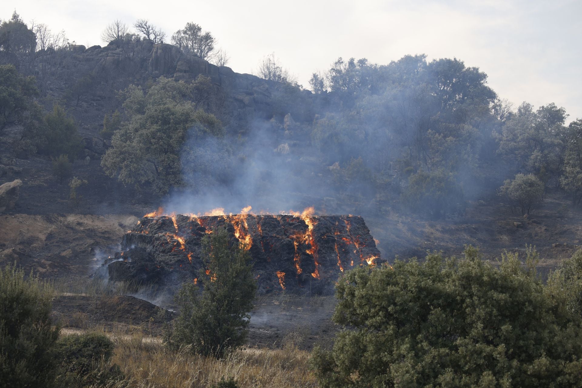 Imágenes del incendio de Navaluenga y los trabajos de extinción