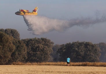 Controlado el incendio que avanzaba hacia el Monte el Viejo de Palencia