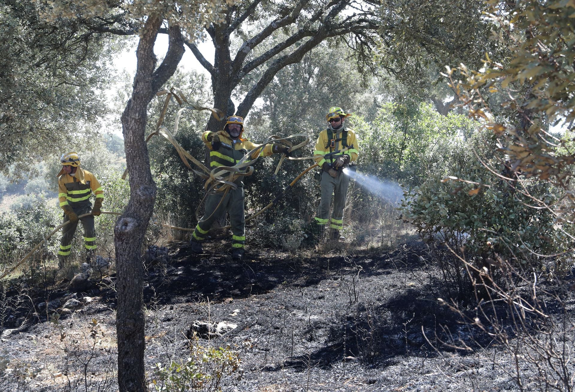 Trabajos de extinción del inciendio de Paredes de Monte, en la zona del Monte el Viejo.