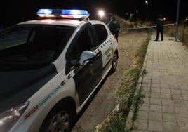 Despligue de la Guardia Civil en el lugar donde paró el tren tras arrollar mortalmente a dos personas.