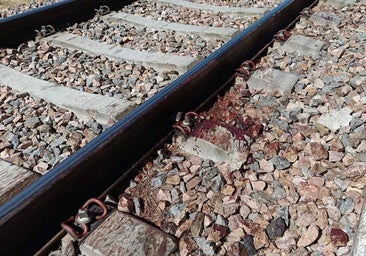 Pistas y lagunas del atropello mortal por un tren en Salamanca: un reguero de sangre, Viogen y una discrepancia