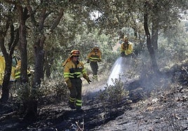 Incendio forestal en Paredes de Monte.