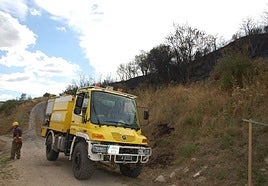 Zona forestal en Santibáñez de la Peña.