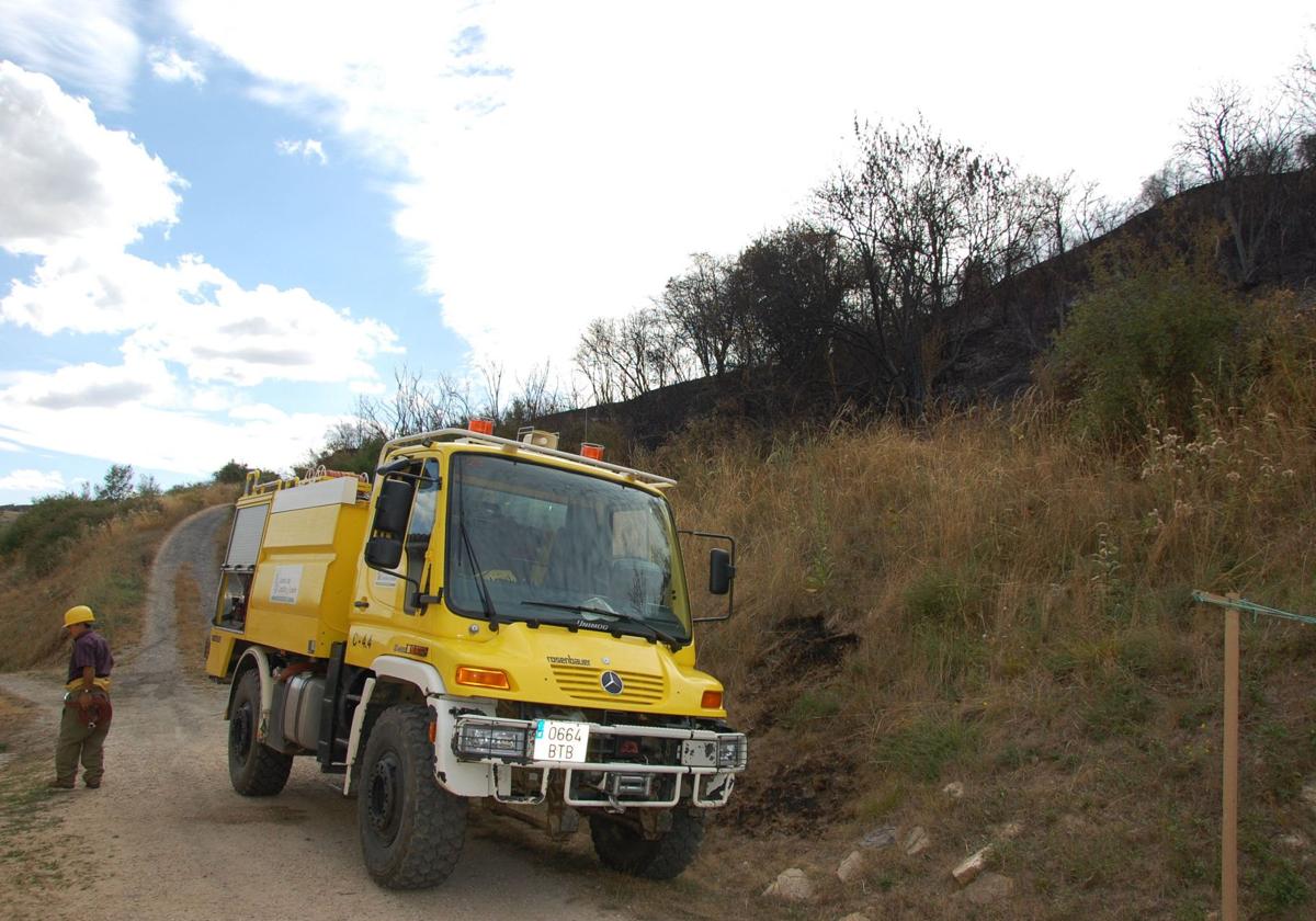 Zona forestal en Santibáñez de la Peña.