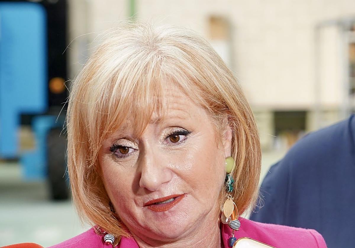 La consejera de Industria, Comercio y Empleo, Leticia García, hace unos días.