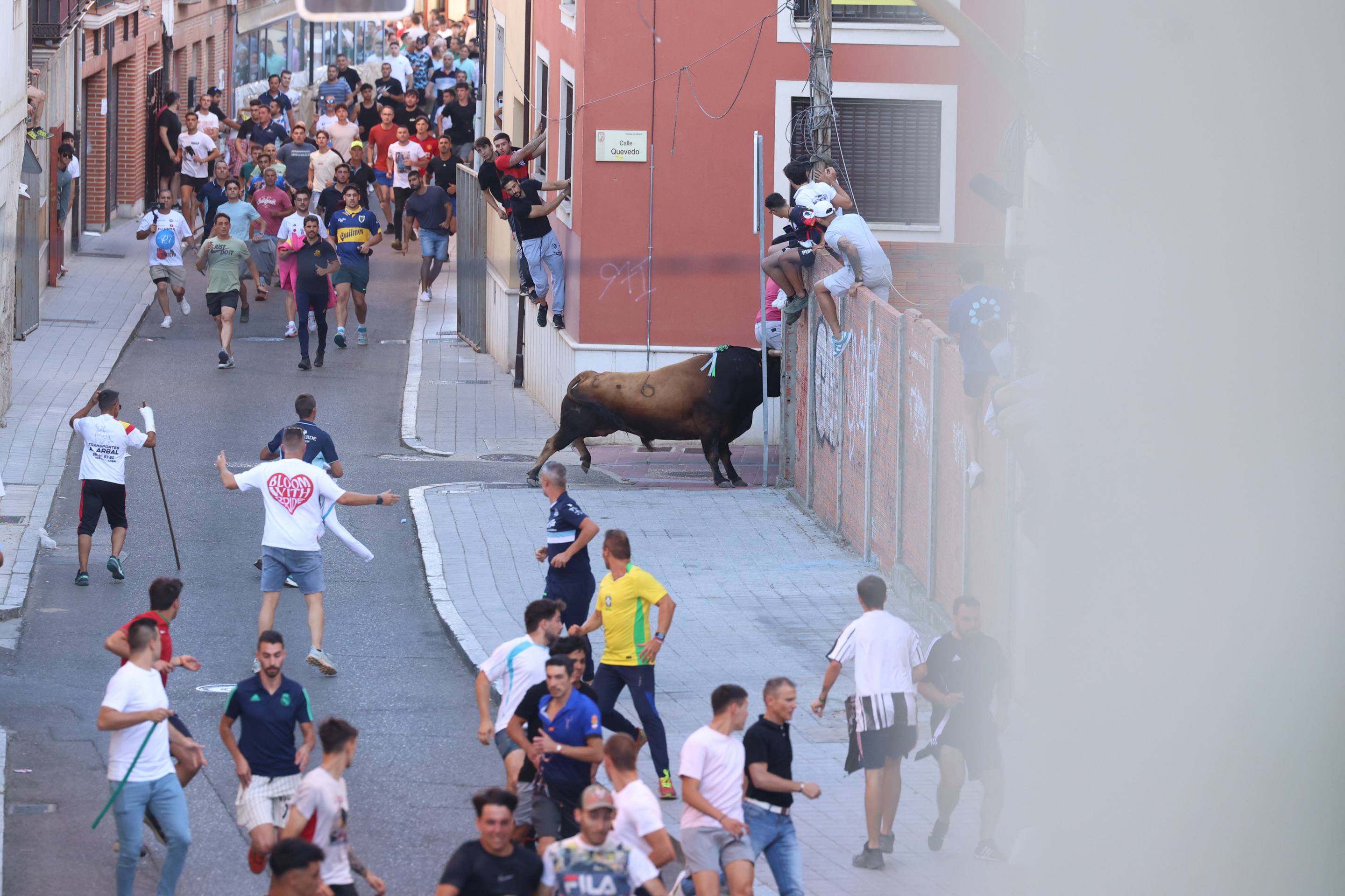 El toro del Fogato de Tudela, en imágenes