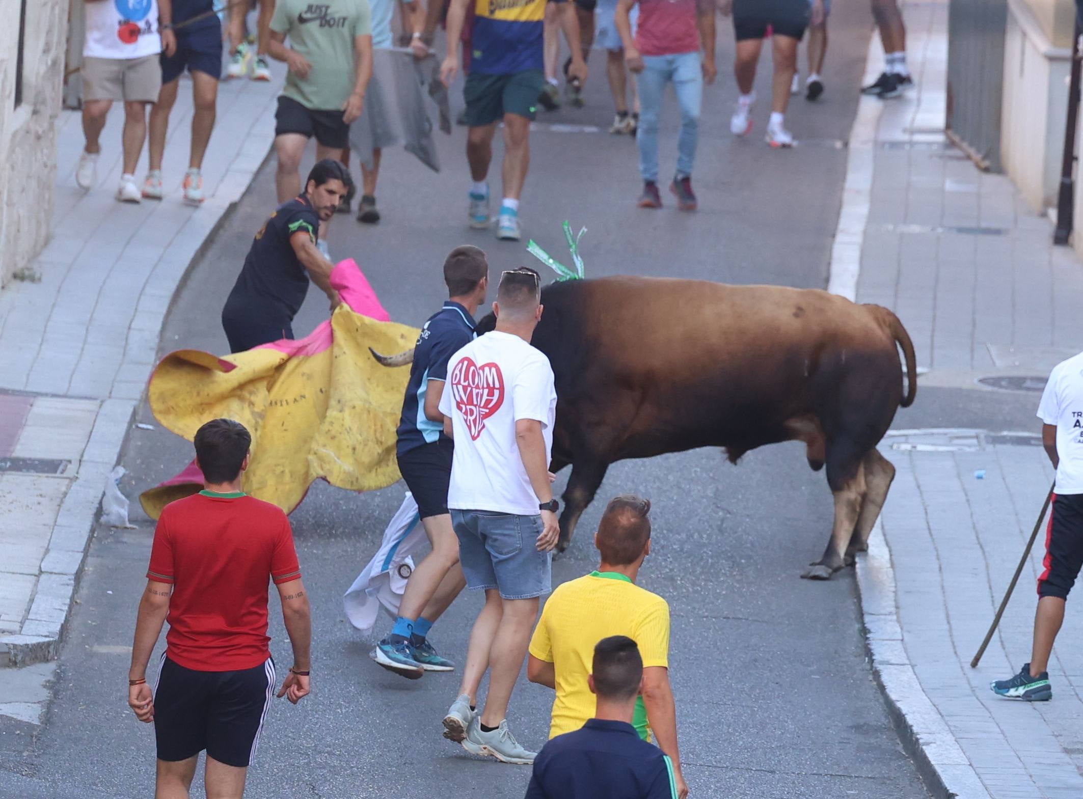 El toro del Fogato de Tudela, en imágenes