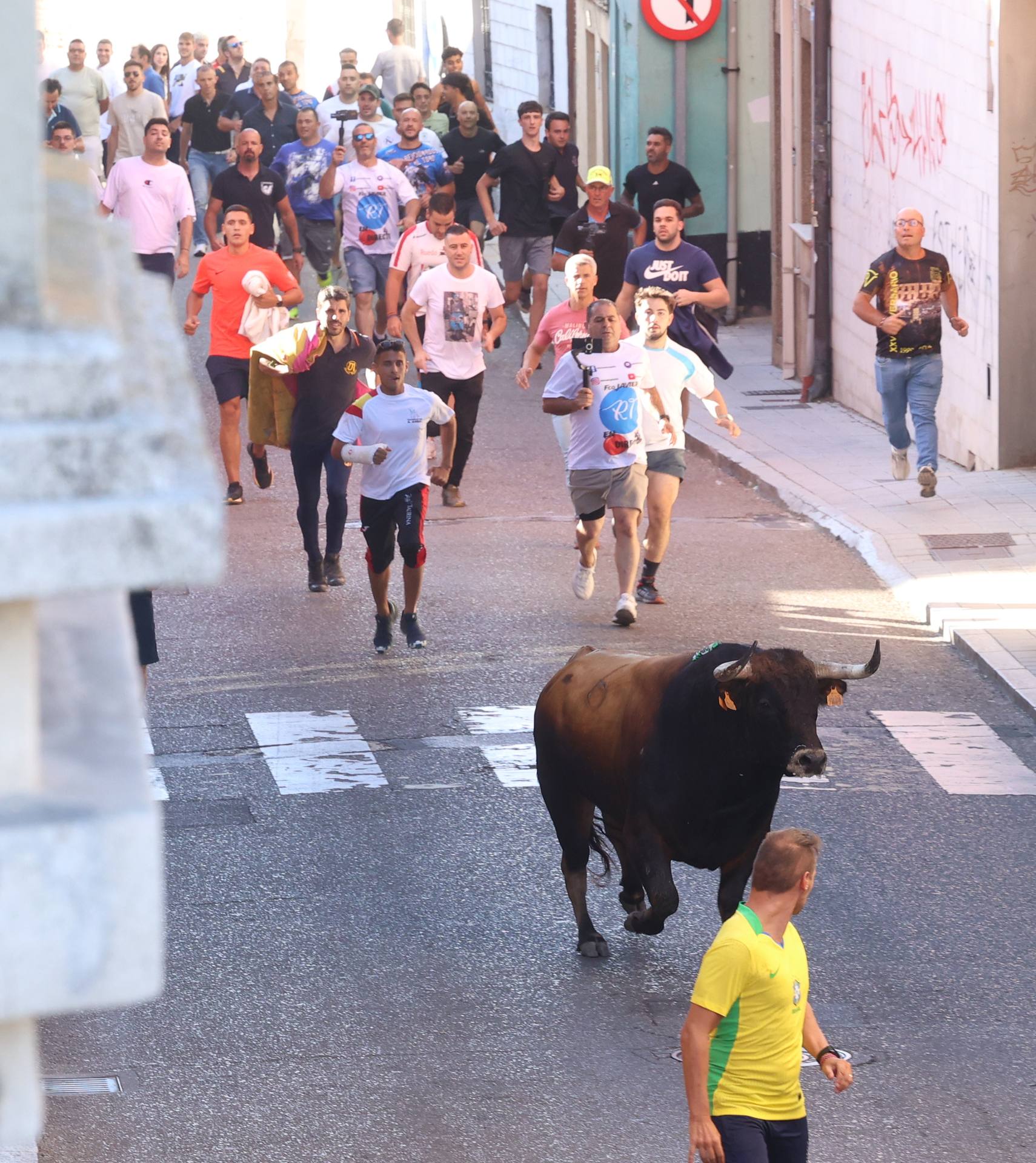 El toro del Fogato de Tudela, en imágenes