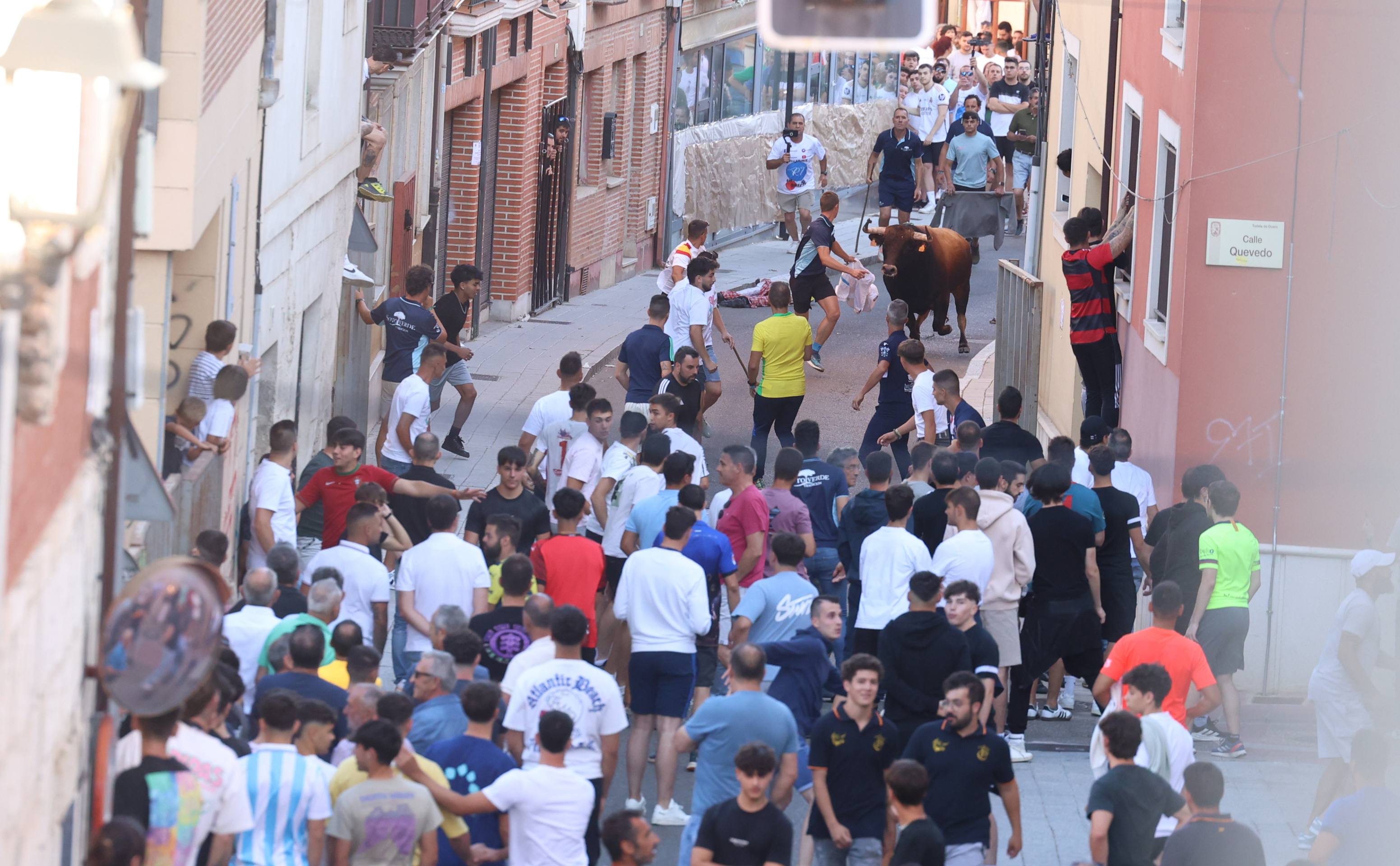 El toro del Fogato de Tudela, en imágenes