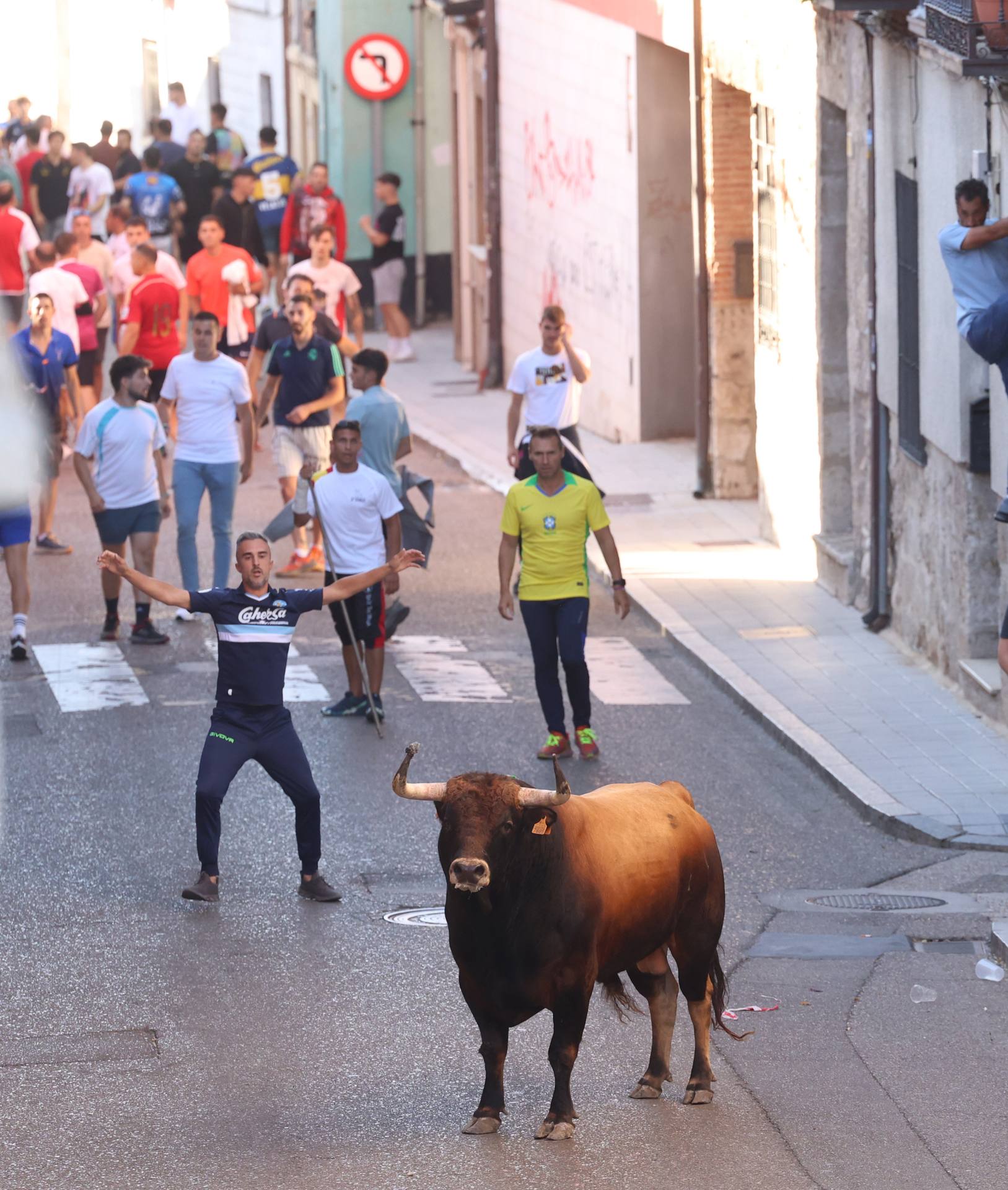 El toro del Fogato de Tudela, en imágenes