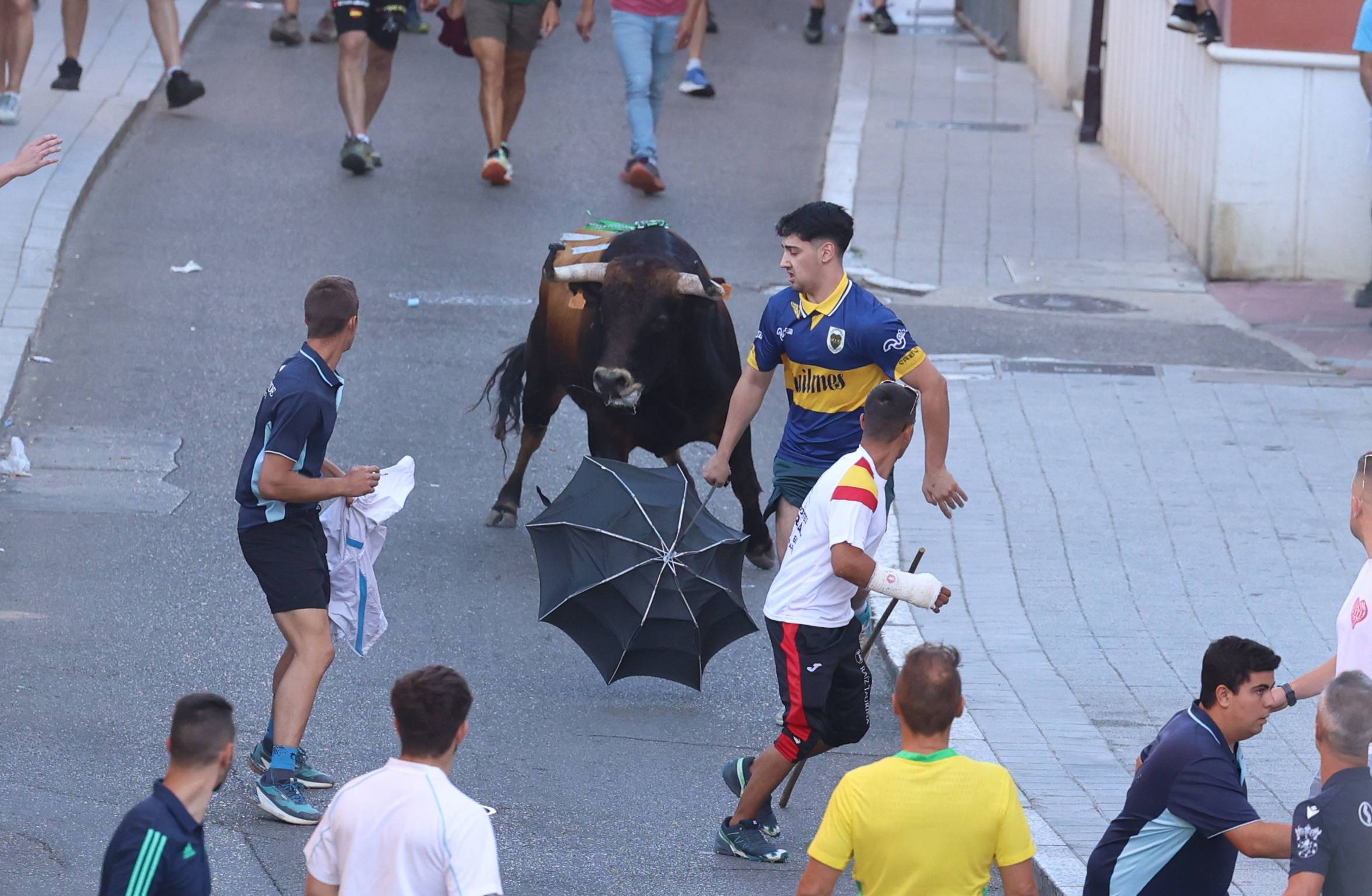 El toro del Fogato de Tudela, en imágenes