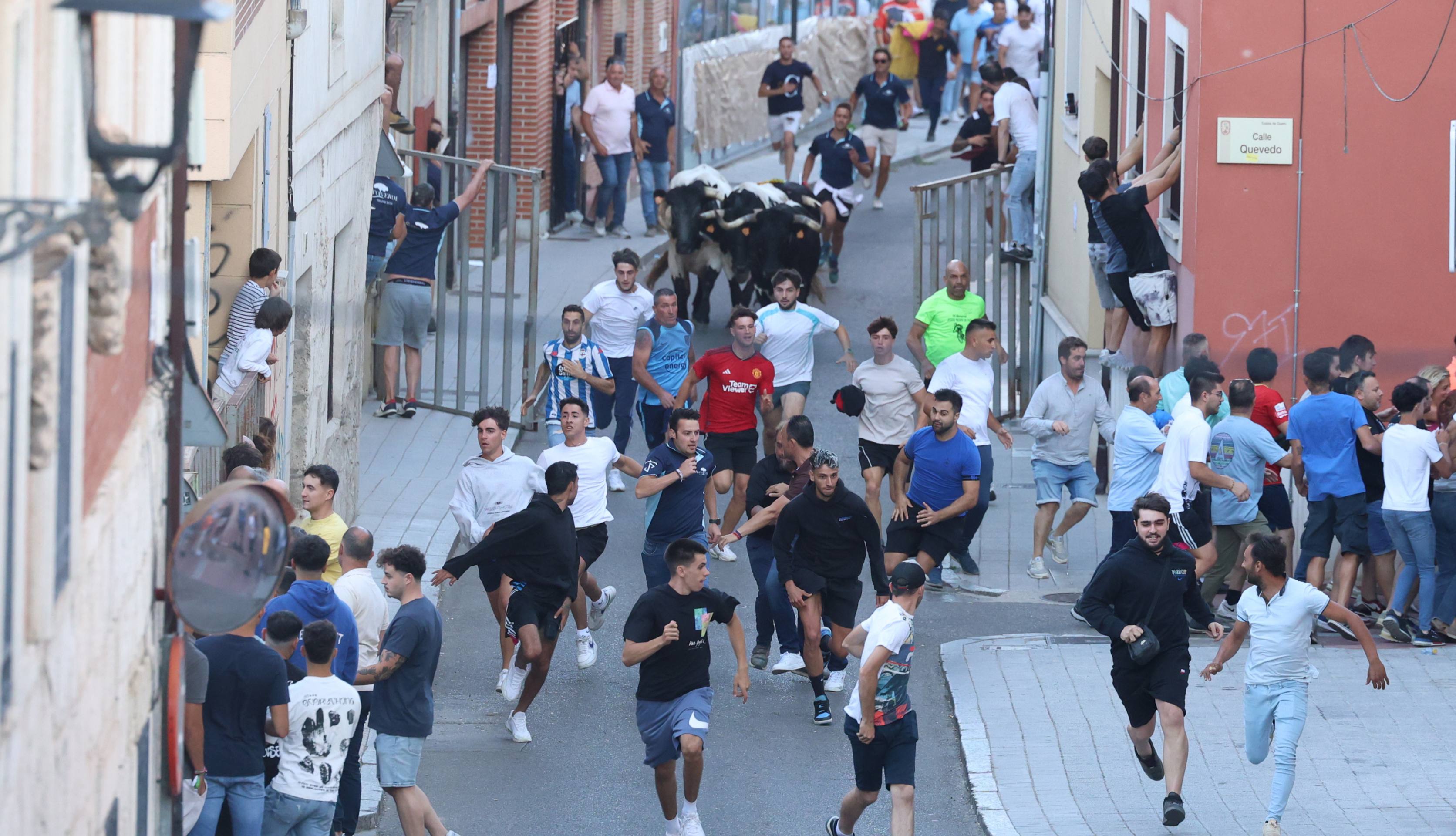 El toro del Fogato de Tudela, en imágenes