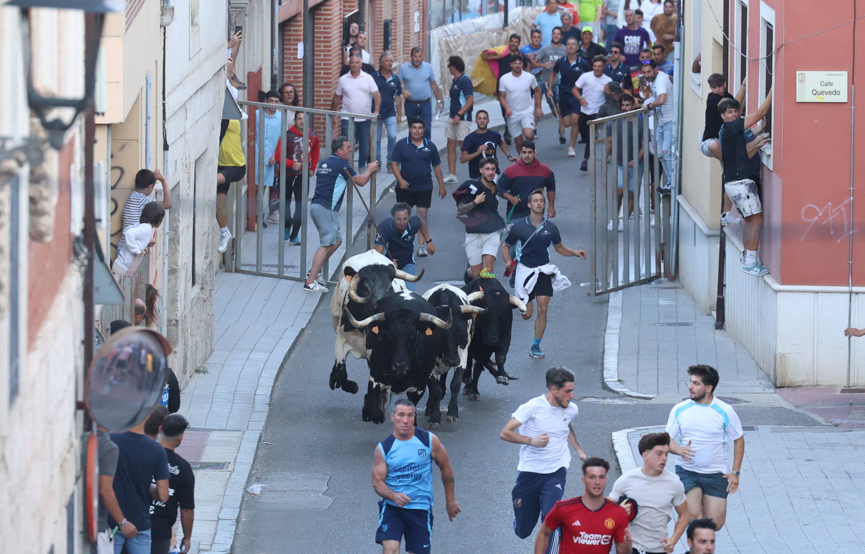 El toro del Fogato de Tudela, en imágenes