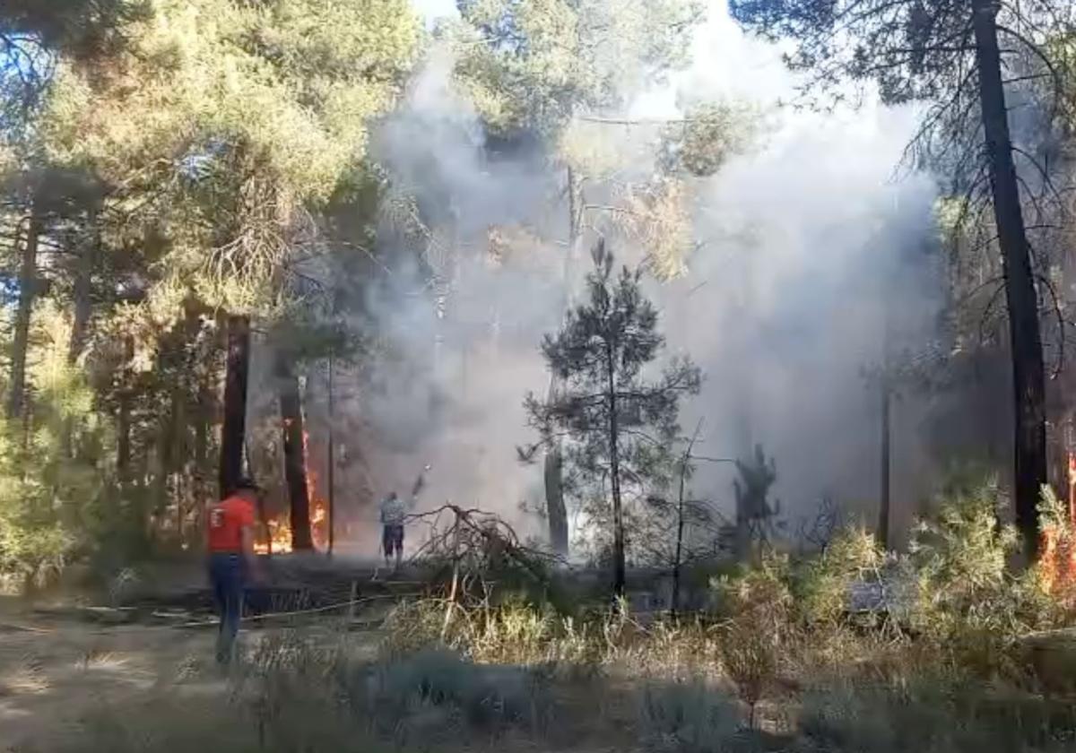 Controlado el incendio que afecta a un pinar de Coca