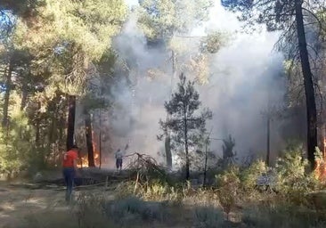 Controlado el incendio que afecta a un pinar de Coca