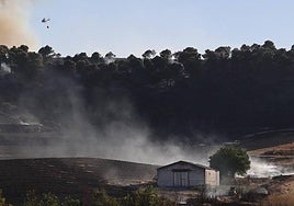 Tierras de labor y pinos donde se ha originado el incendio, en el pago de Zamarón