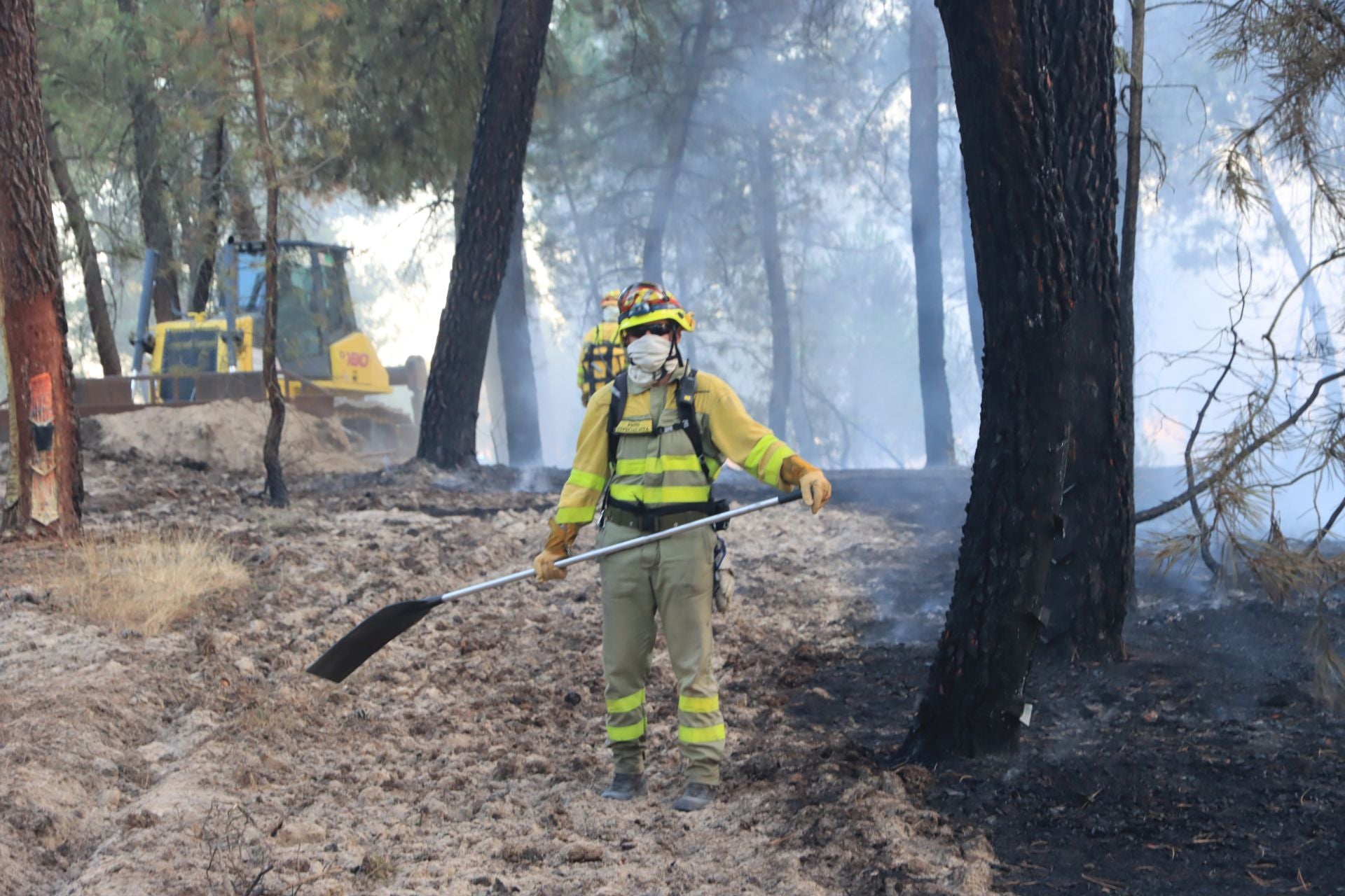 Fotos del incendio en un pinar de Coca