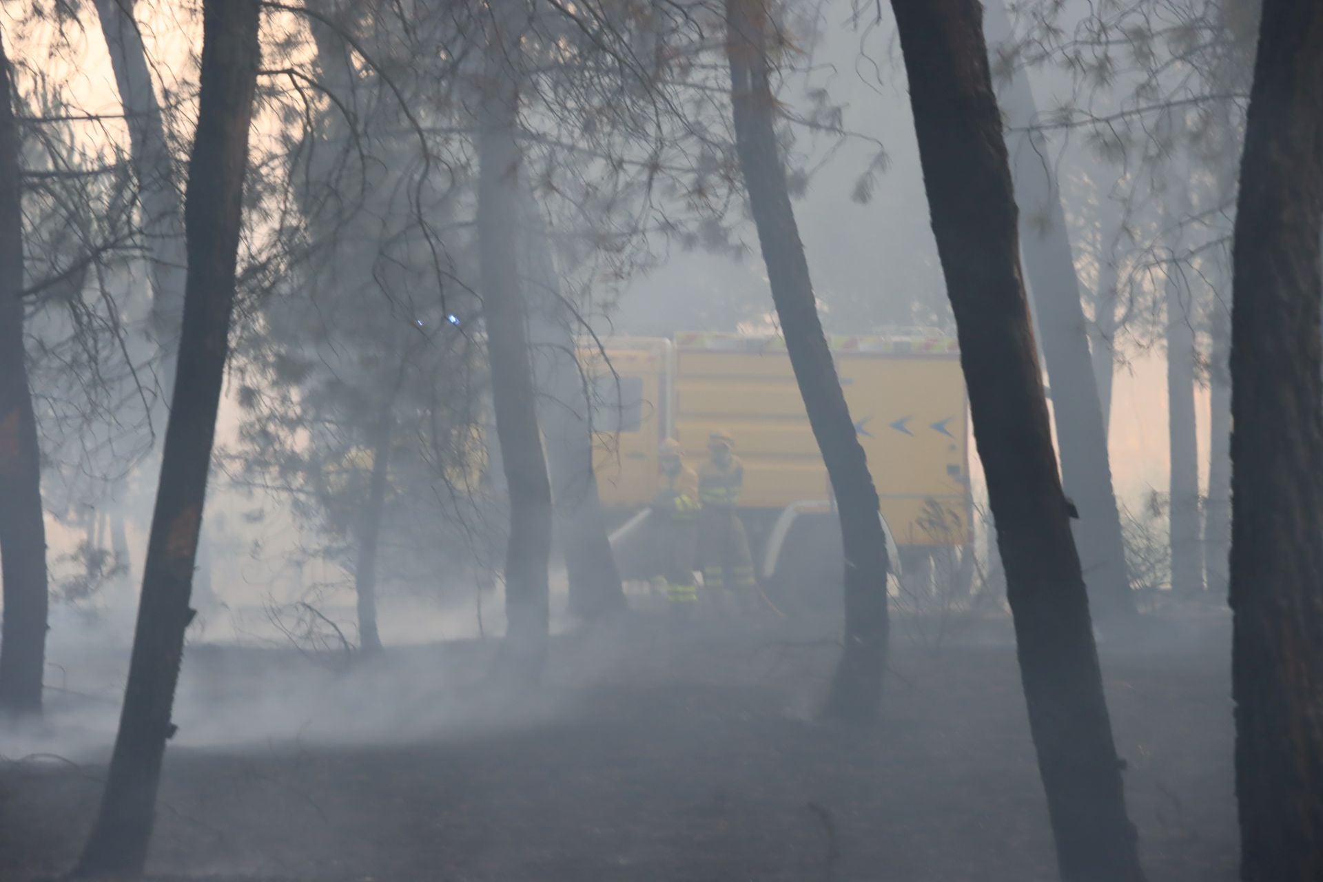 Fotos del incendio en un pinar de Coca