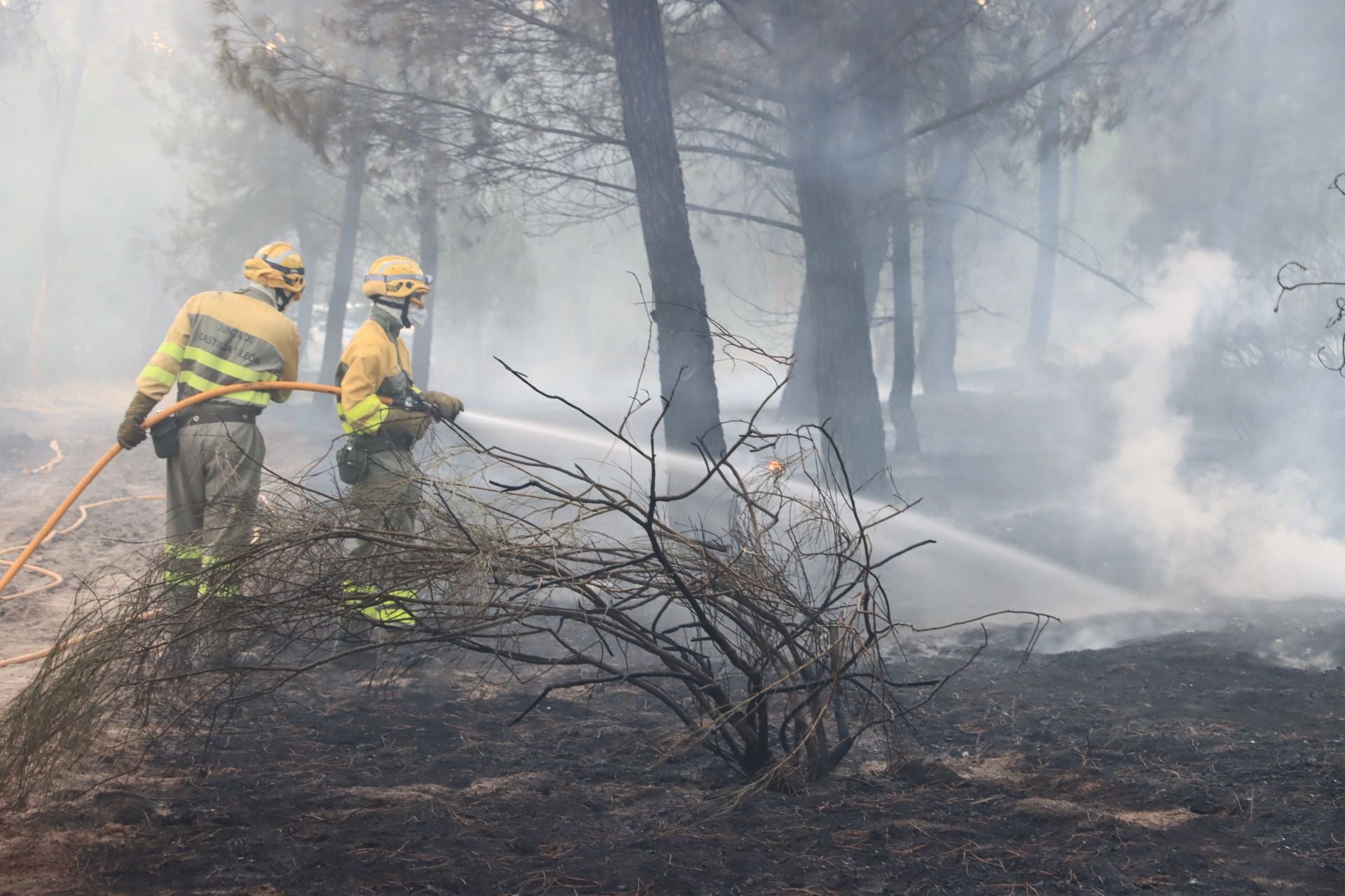 Fotos del incendio en un pinar de Coca