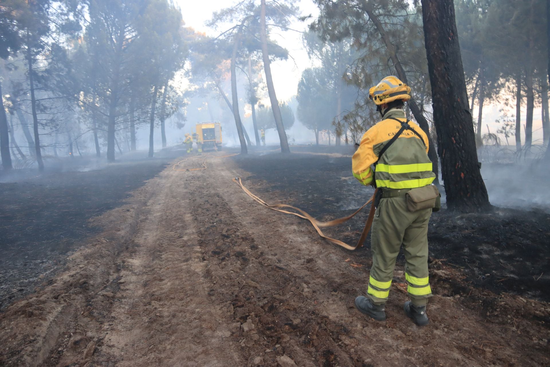 Fotos del incendio en un pinar de Coca