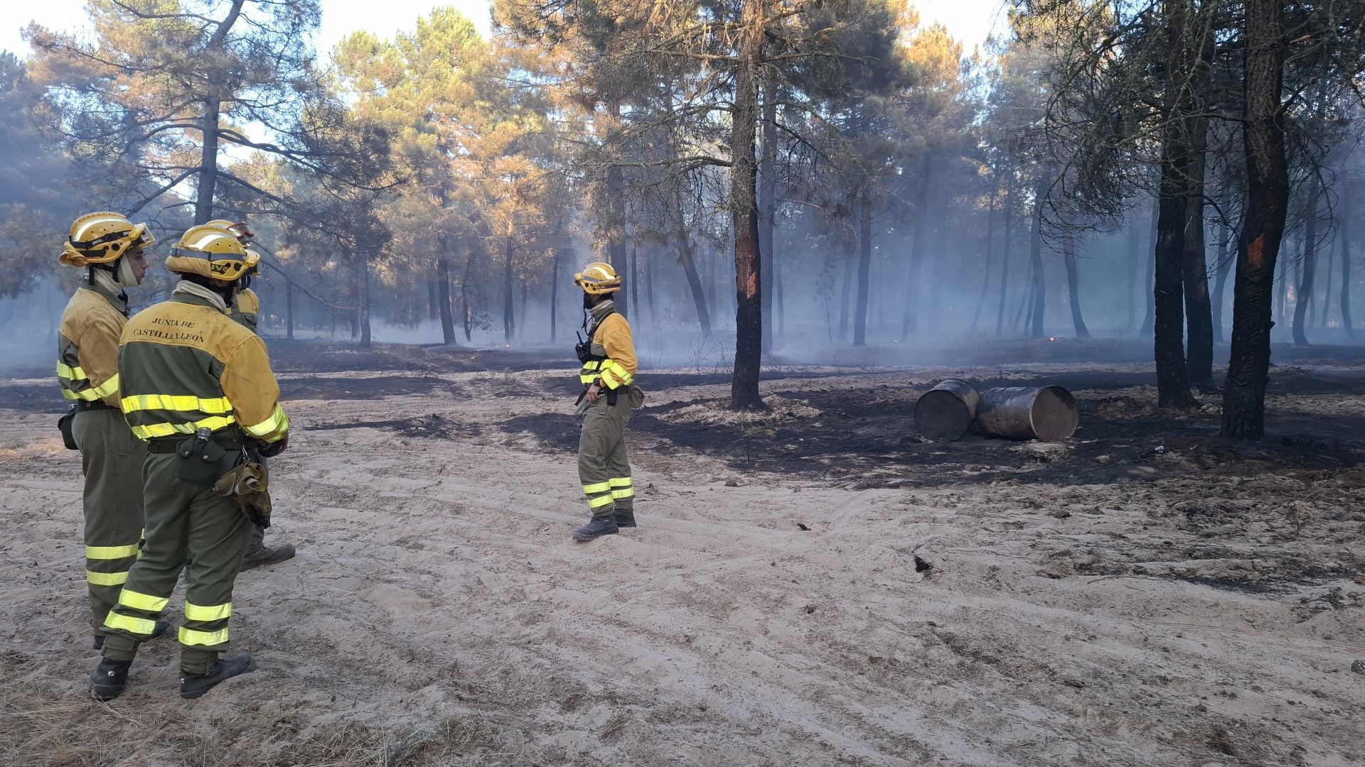 Fotos del incendio en un pinar de Coca