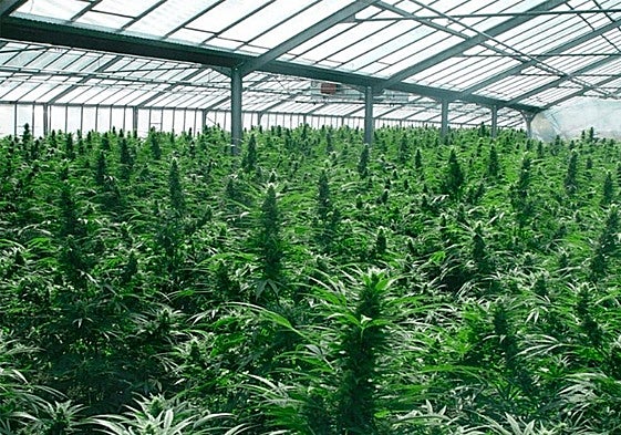 Instalaciones de Ondara en la localidad soriana de Garray.