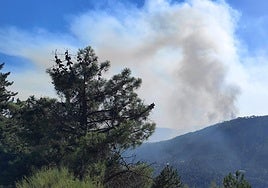 Columna de humo visible durante la tarde del martes, entre San Esteban del Valle y el Puerto del Pico.