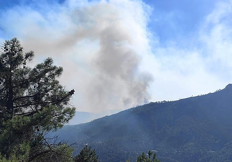 Columna de humo visible durante la tarde del martes, entre San Esteban del Valle y el Puerto del Pico.