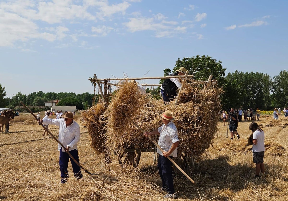 La Trilla, una de la fiestas más representativas de Castrillo de Villavega.