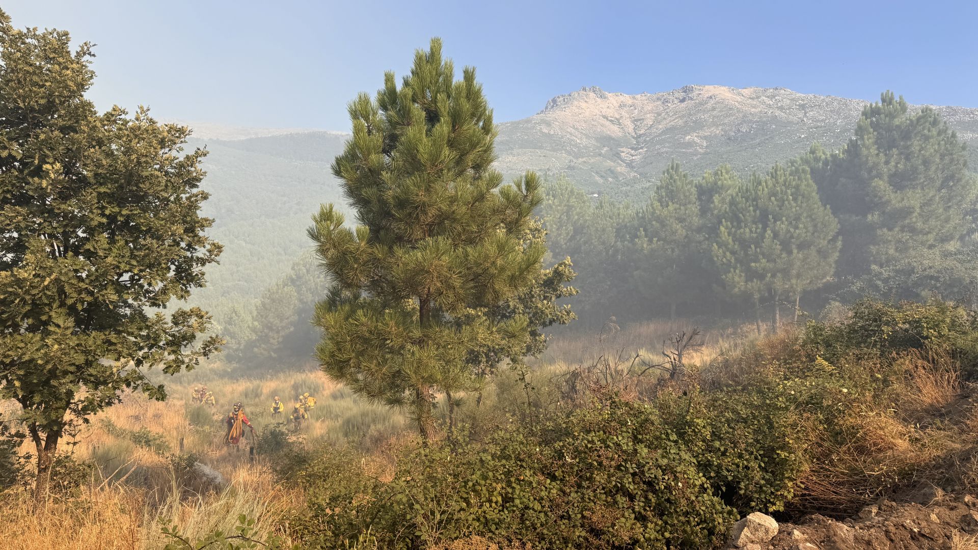 Las imágenes del incendio en Cuevas del Valle (Ávila)