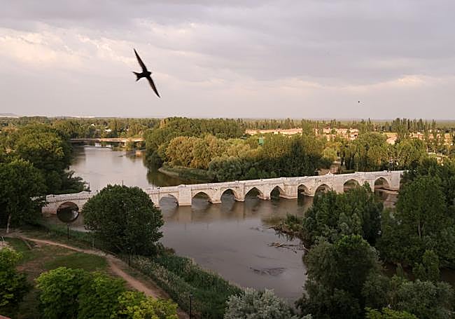 El puente de Simancas, ejemplo de «superviviente».