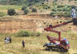 Recogida de las cigüeñas muertas.