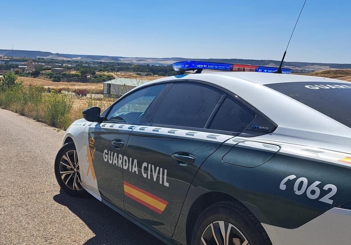 Investigado un matrimonio por robar hortalizas en una finca de Villamuriel