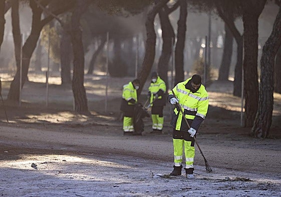 Trabajadores del servicio de Limpieza, durante las tareas en el pinar tras la celebración de Pingüinos.