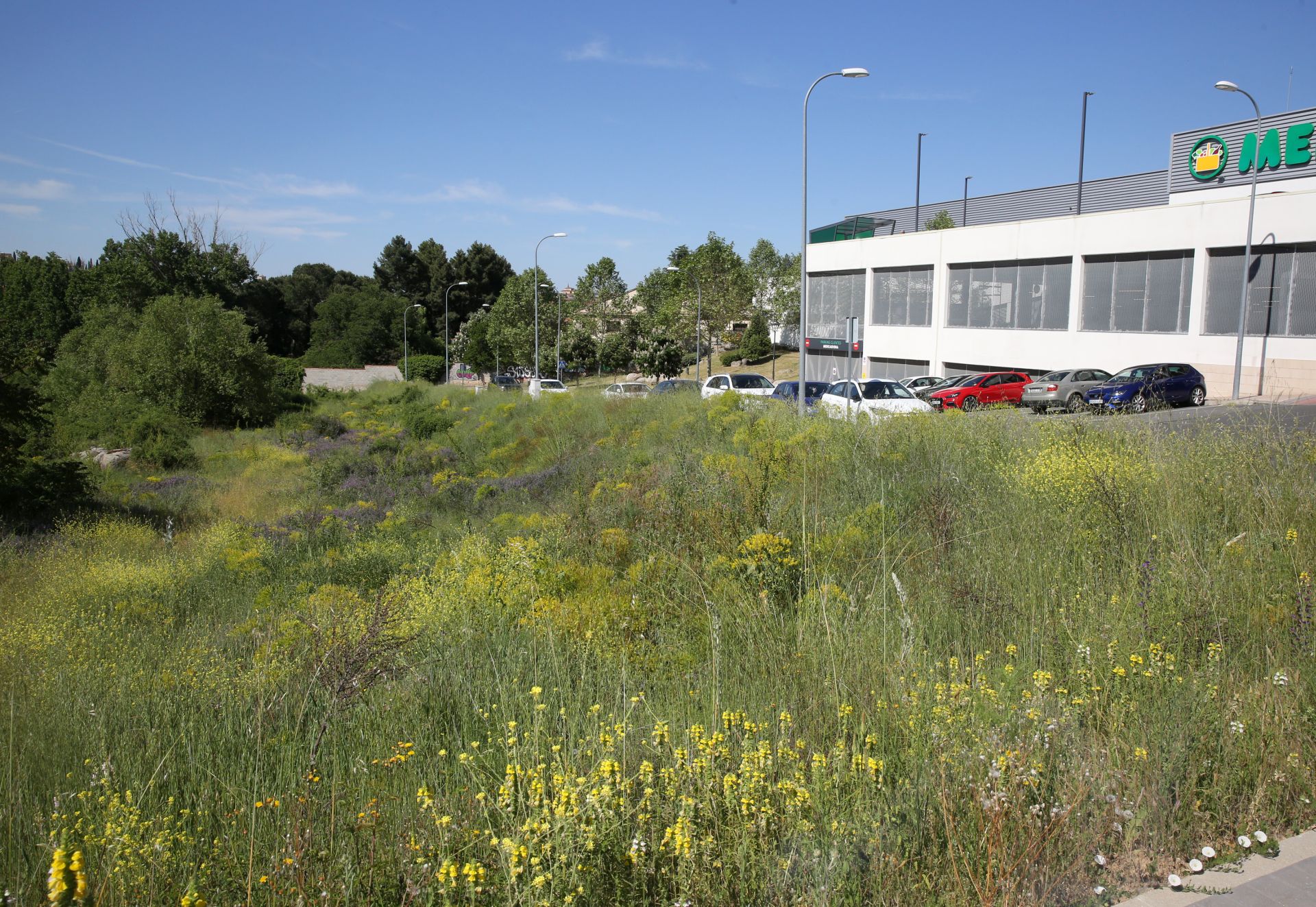 Terrenos donde se construirán las viviendas públicas que saldrán a la venta.