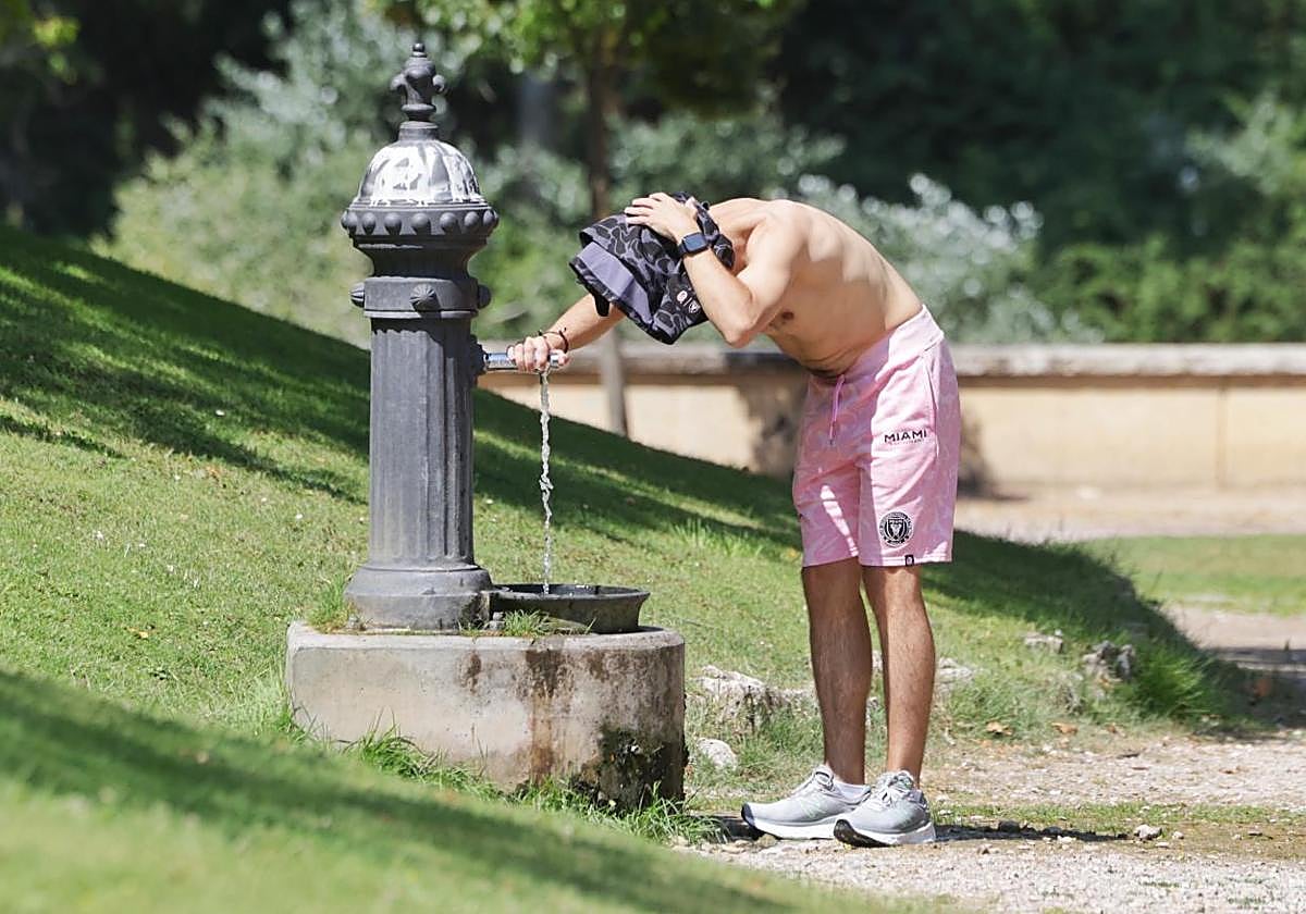 Un joven se refresca en una fuente de Valladolid.