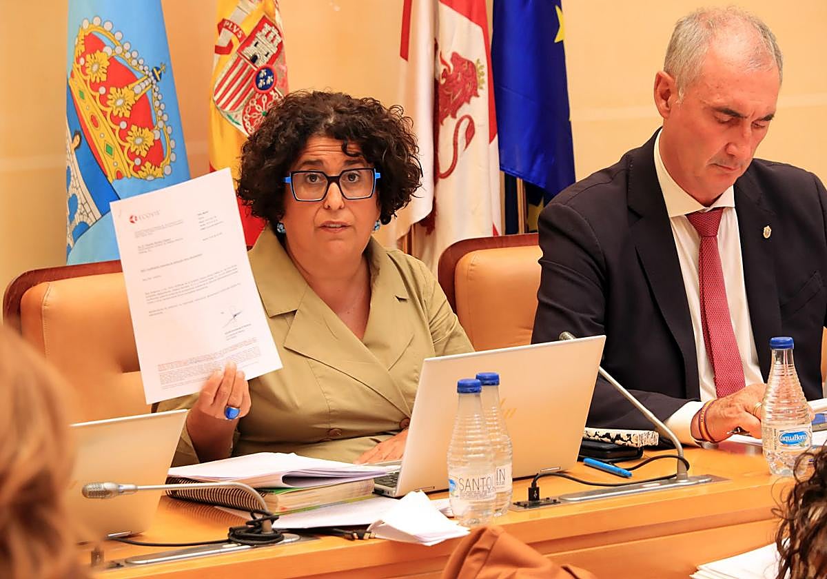 Rosalía Serrano, durante el Pleno de este viernes.