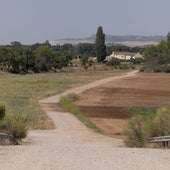 Camino de las Berzosas, cerca del PRAE, donde se perdió el rastro del desaparecido.