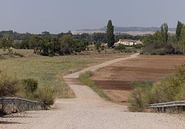 Camino de las Berzosas, cerca del PRAE, donde se perdió el rastro del desaparecido.