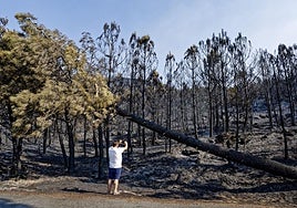 Superficie afectada por el incendio de Ávila, entre Cuevas del Valle, Mombeltrán y El Arenal.